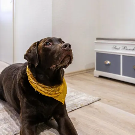 Kuestenliebe * Lehe (Schleswig-Holstein)